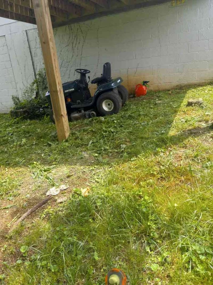 Lawn after mowing