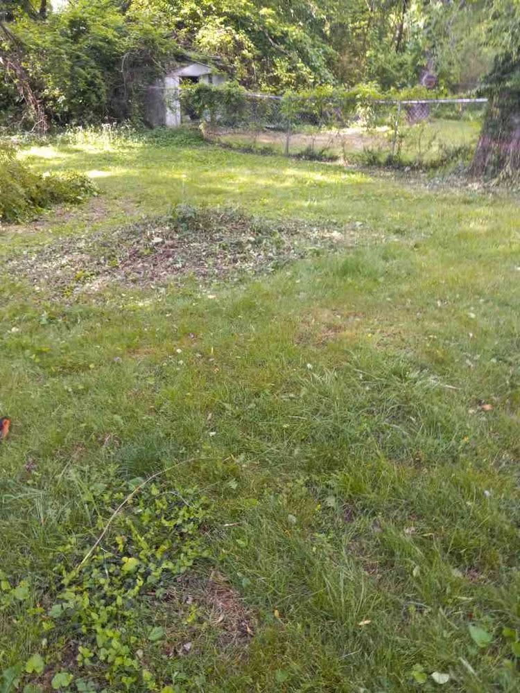Lawn after mowing