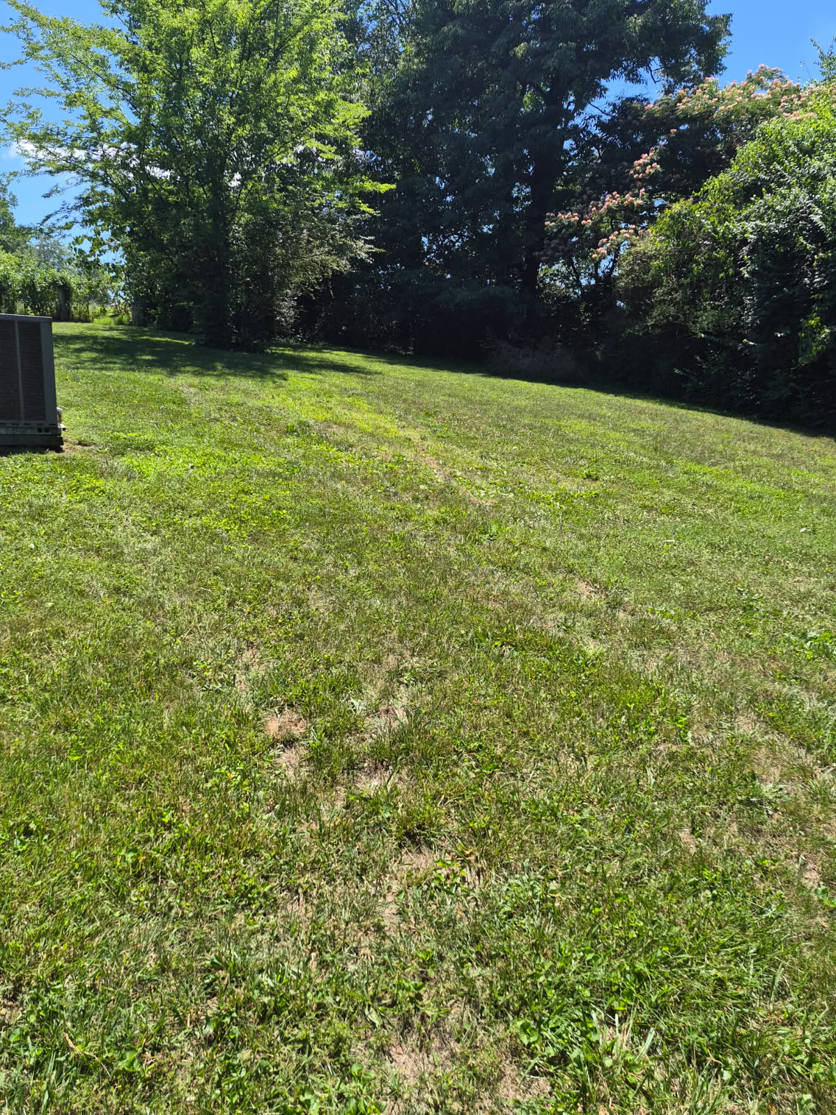 Freshly mowed yard 3 in Kingston, TN