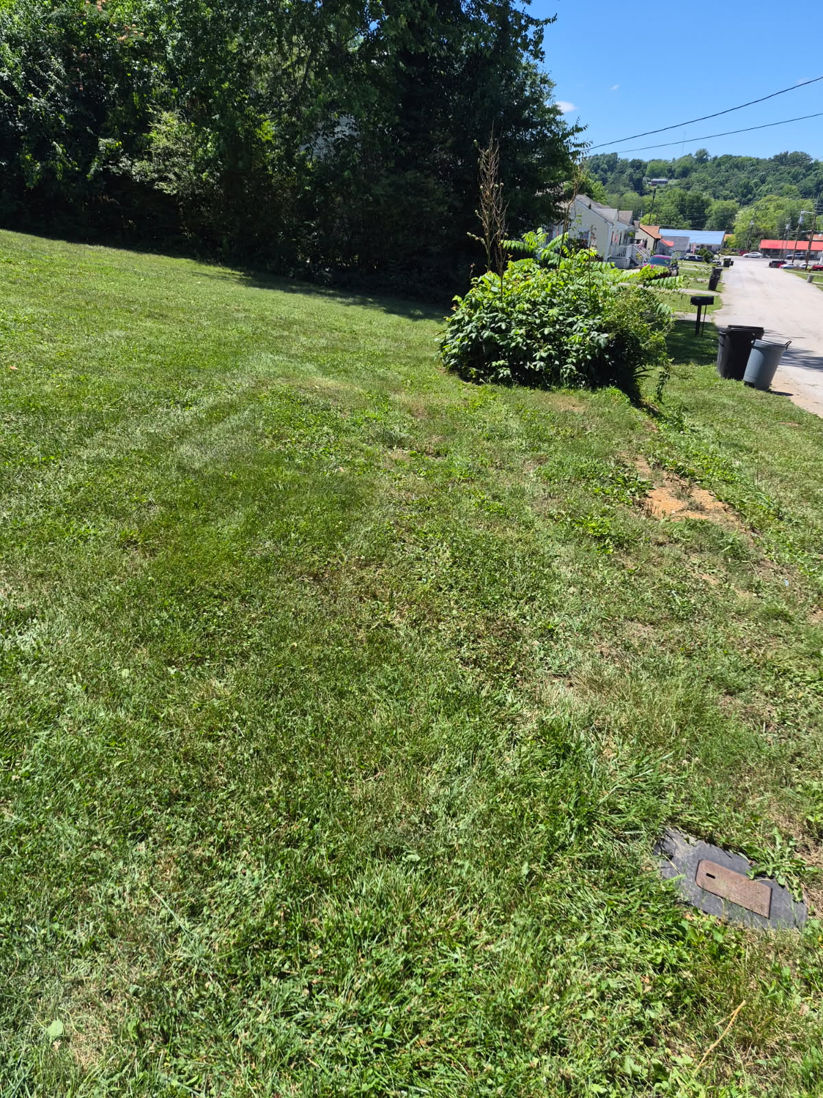 Freshly mowed yard 2 in Kingston, TN