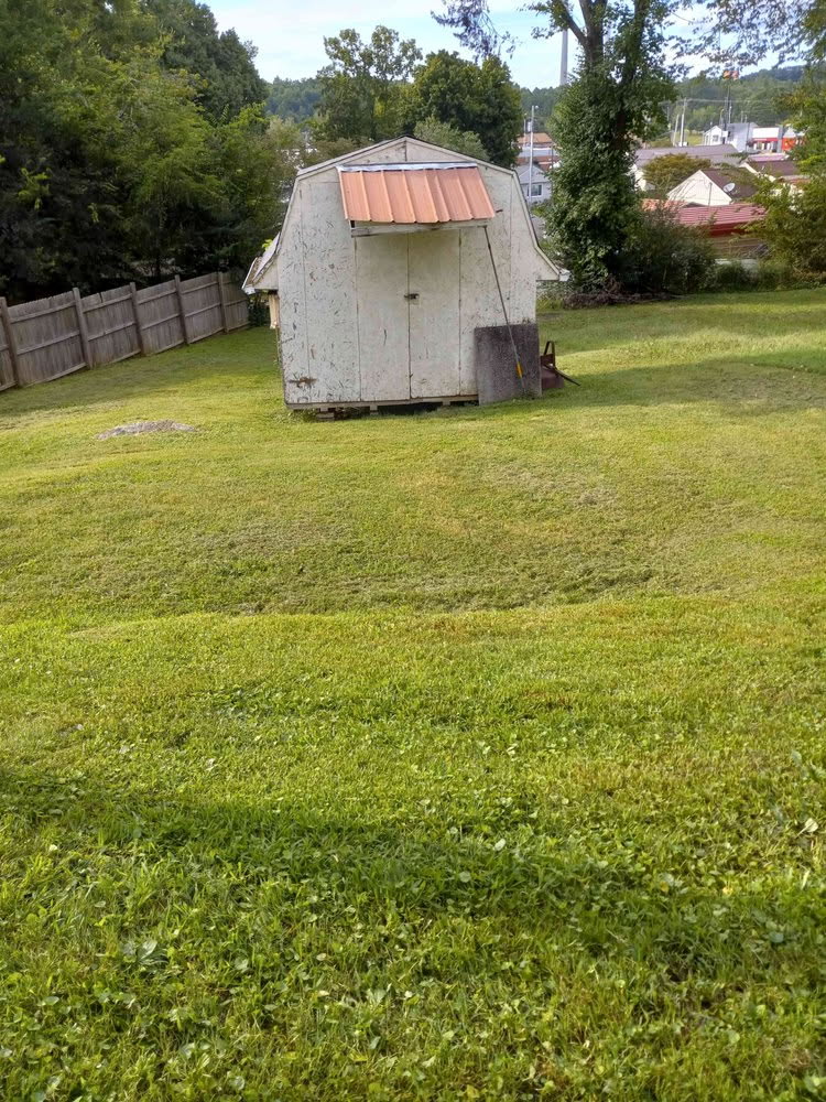 Freshly mowed yard 1 in Kingston, TN